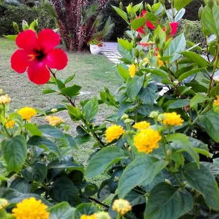 Ciclamino By The Sea In Cefalu Villa *