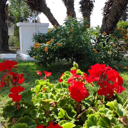 Ciclamino By The Sea In Cefalu *