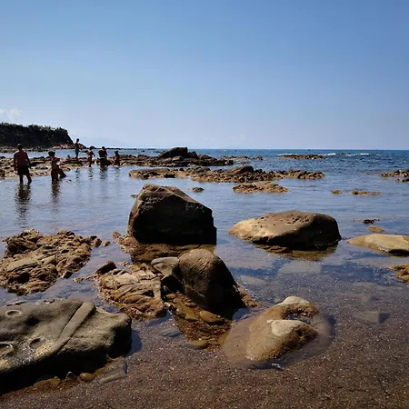 Ciclamino By The Sea In Cefalu